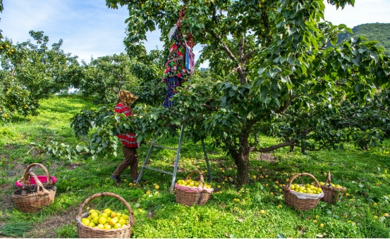 wps2B58.tmp.jpg wps2B58.tmp.jpg